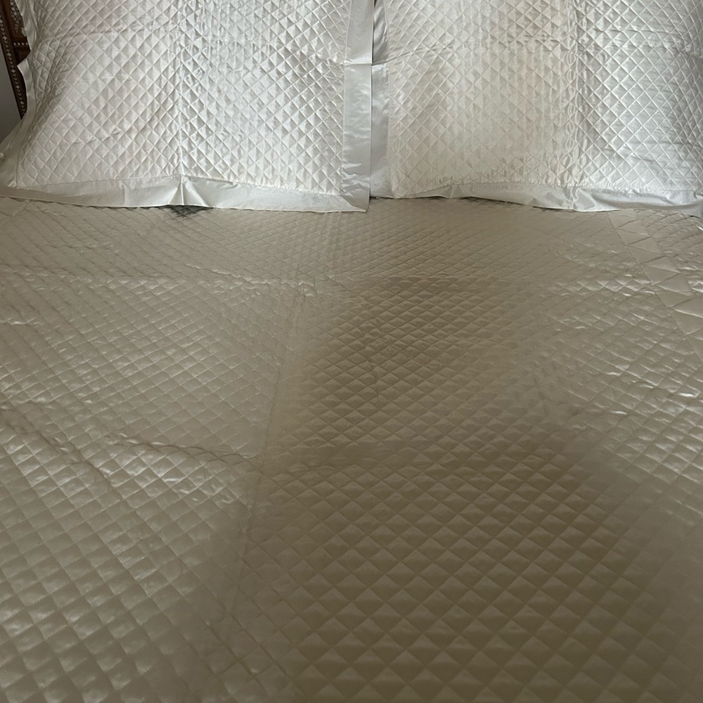 Elegant Silk Bedding Set in Cream w Euro and Standard Pillow Shams